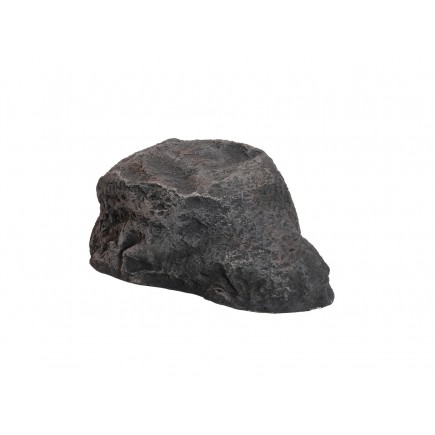 EUROPALMS Artificial Rock, SHELL